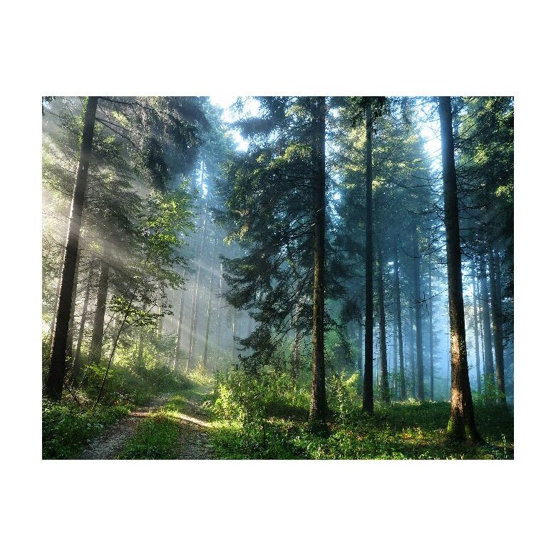 Tablou Canvas Natura, Dimensiunea 100x70 nat2113