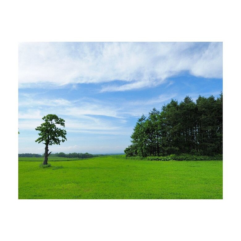 Tablou Canvas Natura, Dimensiunea 100x70 nat2134