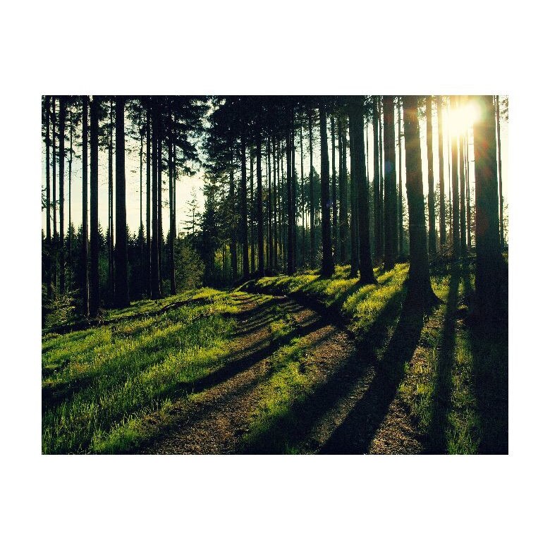 Tablou Canvas Natura, Dimensiunea 100x70 nat2145