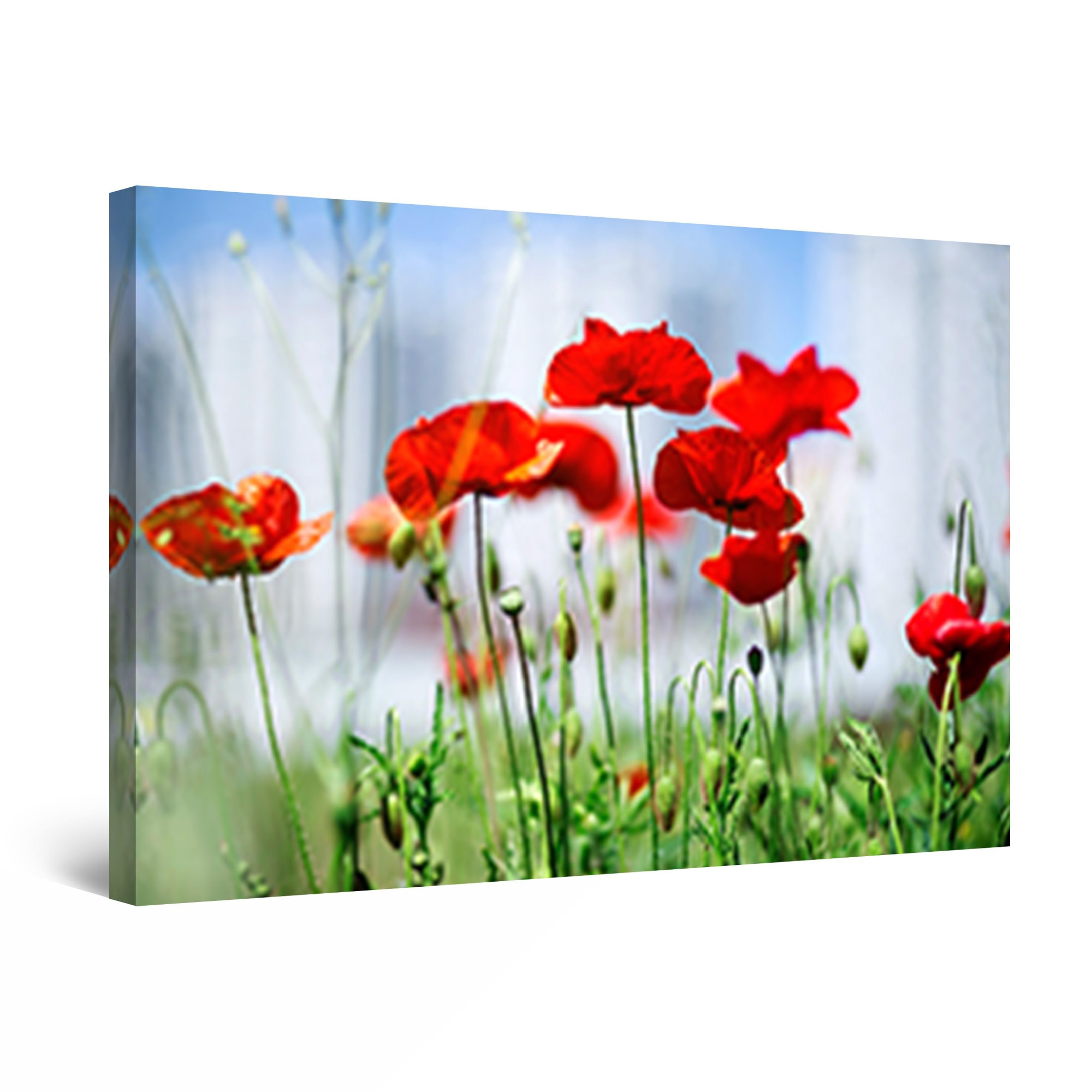 Tablou DualView Startonight Campul cu maci, luminos in intuneric, 30 cm x 20 cm