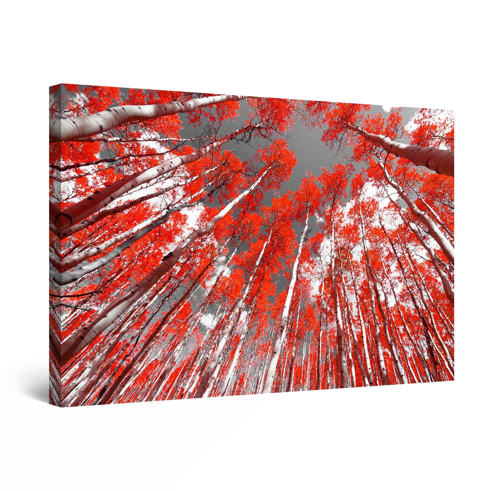 Tablou DualView Startonight Maretia padurii rosii, luminos in intuneric, 80 cm x 120 cm