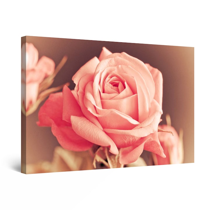 Tablou DualView Startonight Trandafir roz, luminos in intuneric, 90 cm x 60 cm