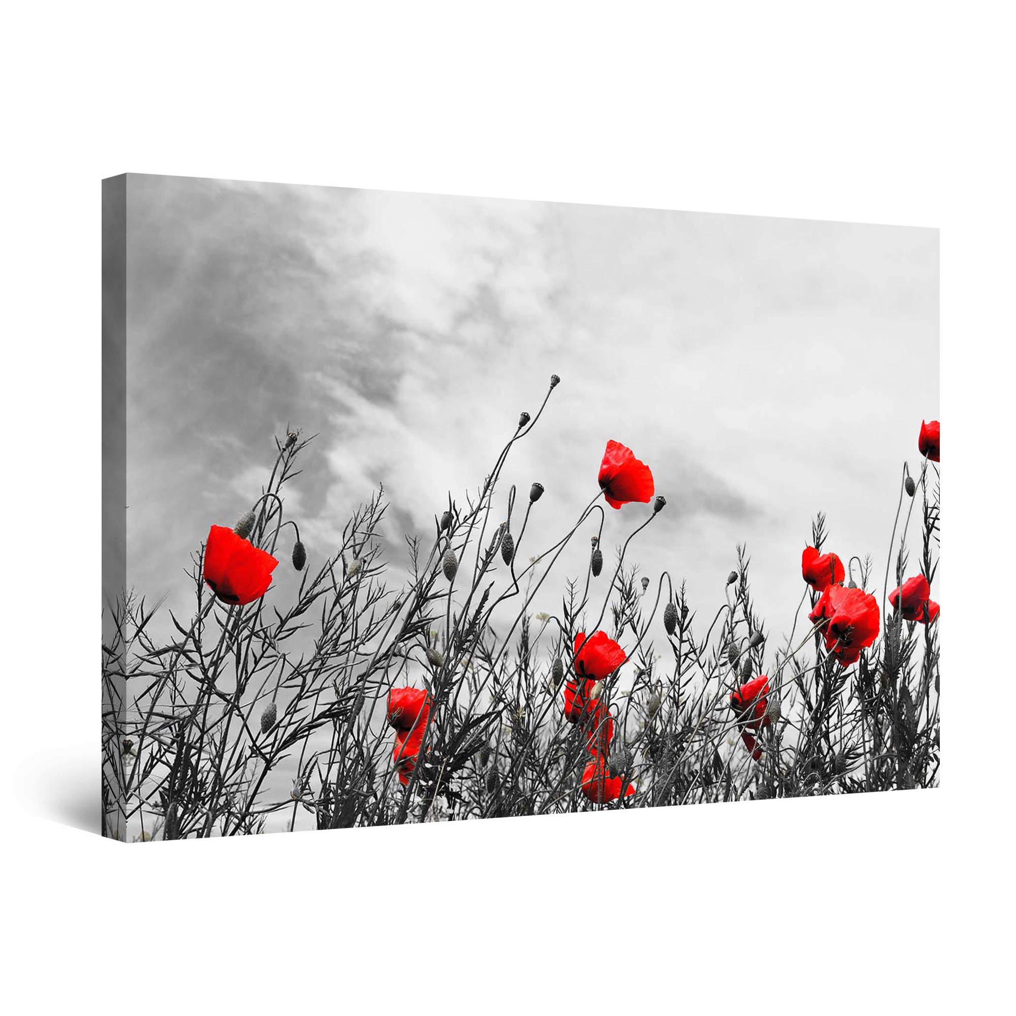 Tablou DualView Startonight Furtuna peste maci, luminos in intuneric, 30 cm x 20 cm