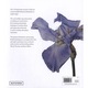 Botanical Illustration for Beginners