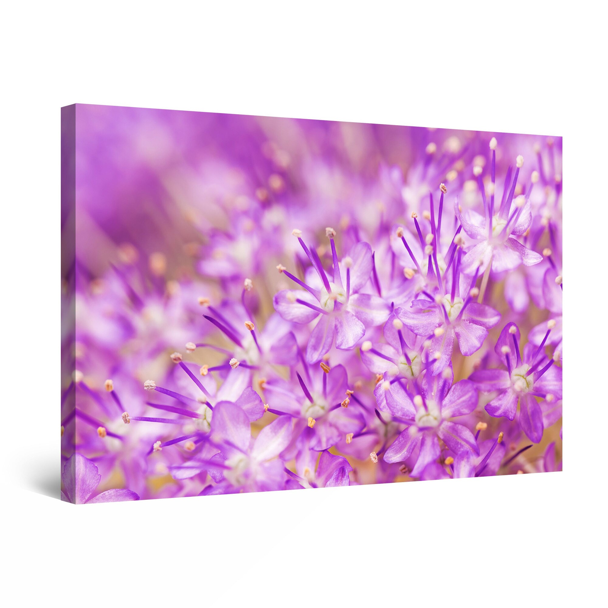 Tablou DualView Startonight Floricele violet, luminos in intuneric, 60 cm x 40 cm