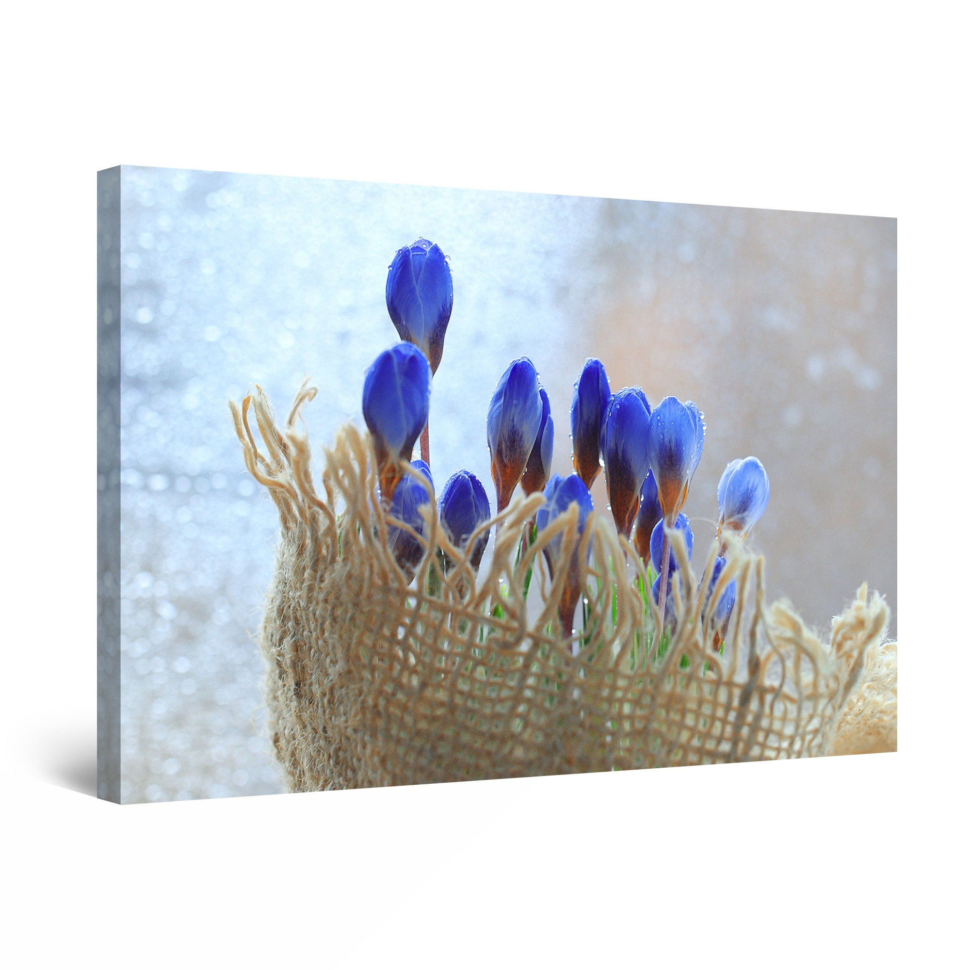 Tablou DualView Startonight Toporasi, luminos in intuneric, 30 cm x 20 cm