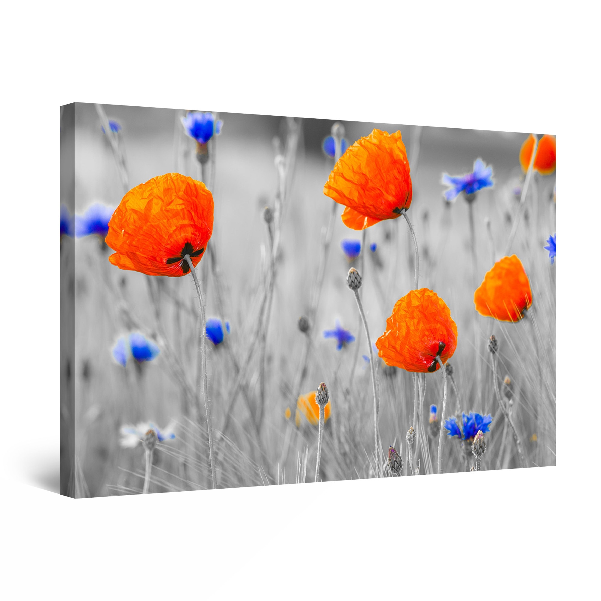 Tablou DualView Startonight Frumusetea macilor, luminos in intuneric, 90 cm x 60 cm