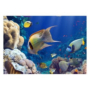 Fototapet Acvatic - BL-25, 70 x 100 cm Fototapet Acvatic - BL-25, 70 x 100 cm