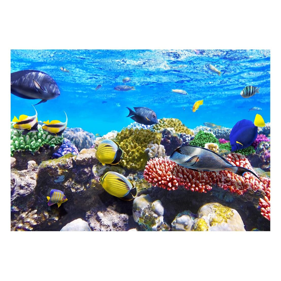 Fototapet Acvatic - BL-58, 70 x 100 cm