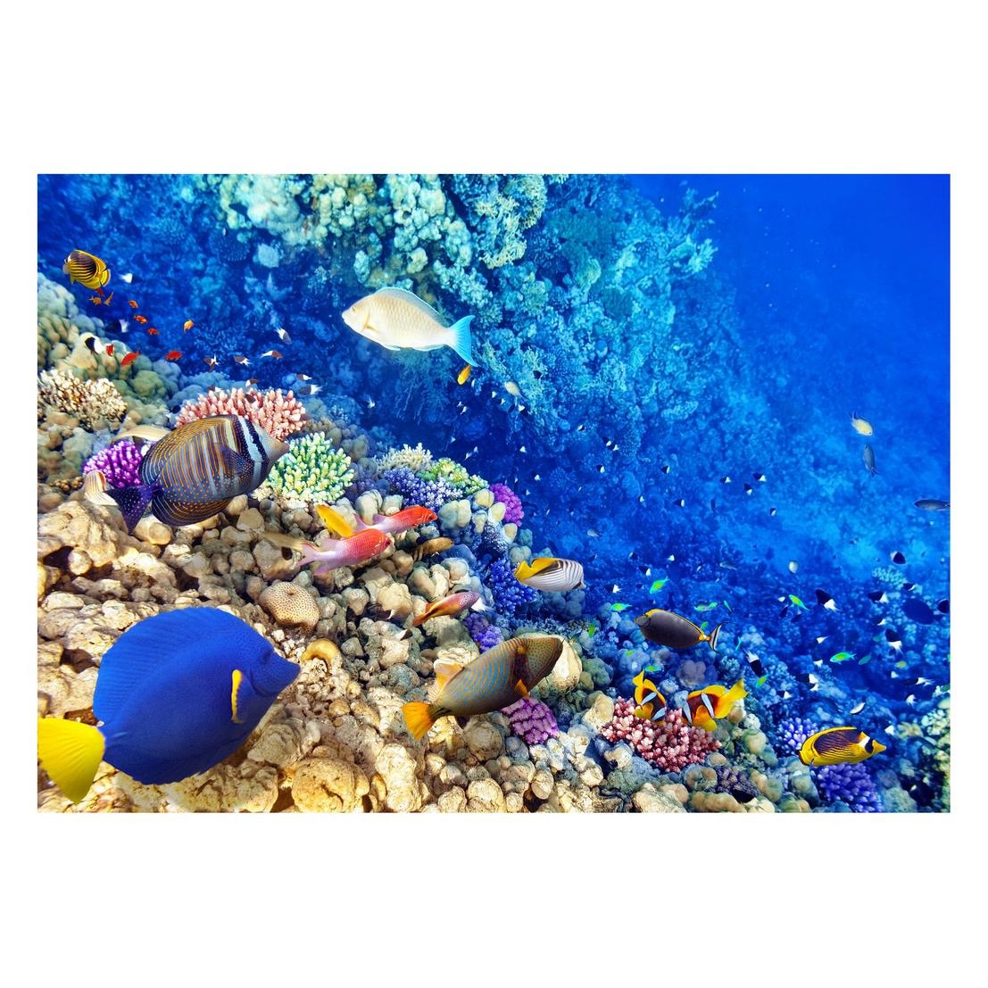 Fototapet Acvatic - BL-14, 70 x 100 cm