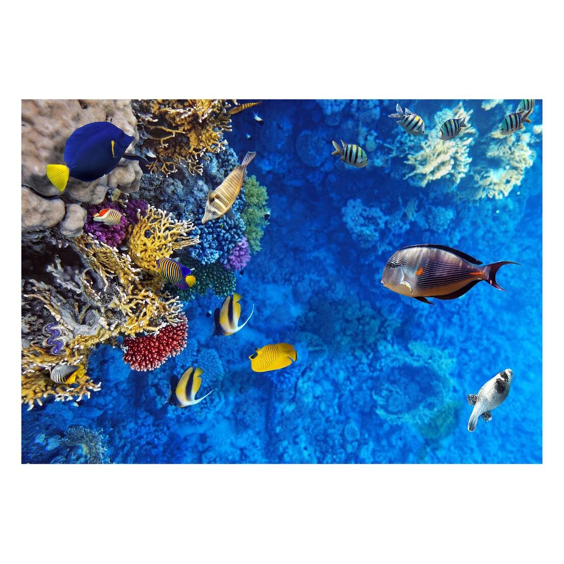 Fototapet Acvatic - BL-60, 70 x 100 cm