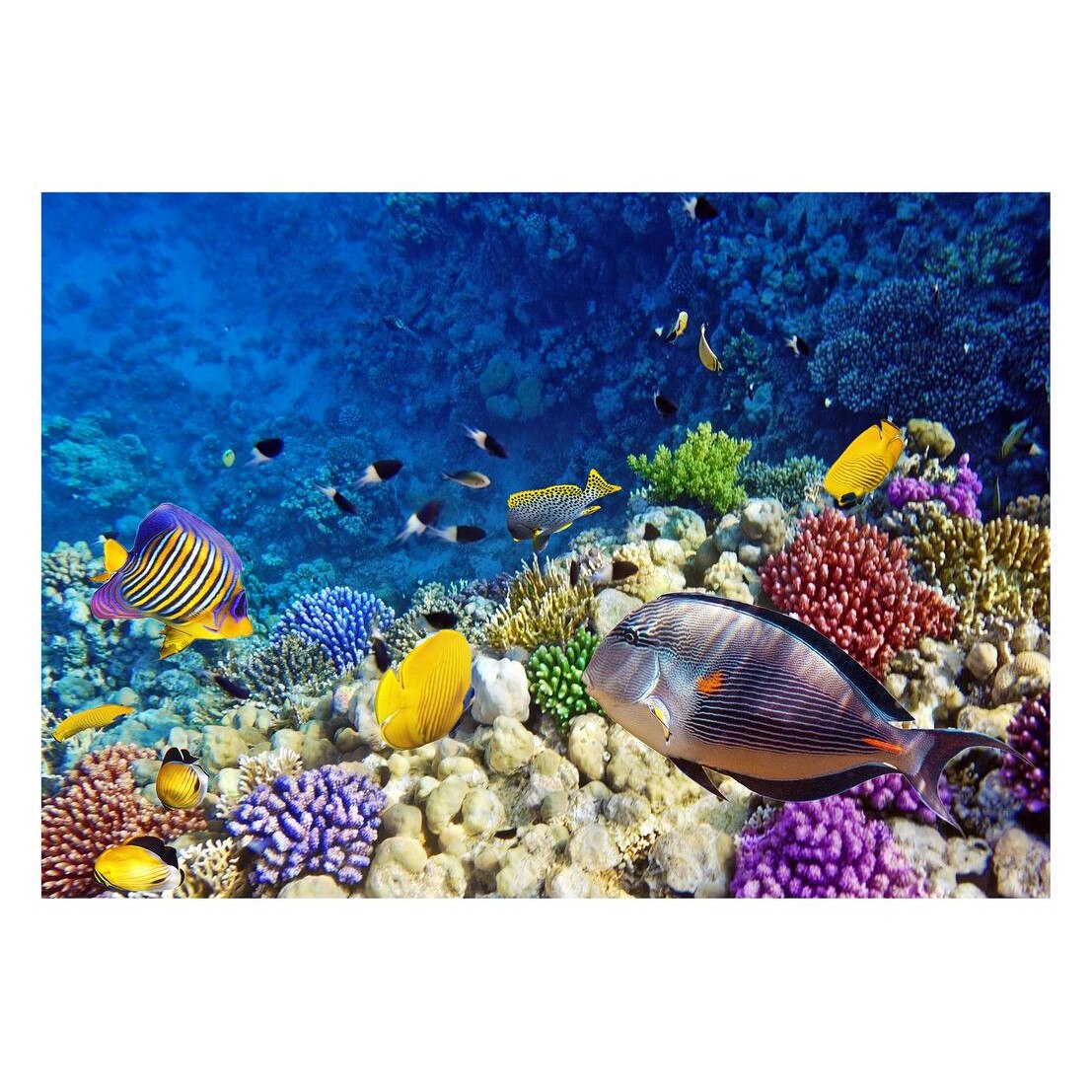 Fototapet Acvatic - BL-53, 70 x 100 cm