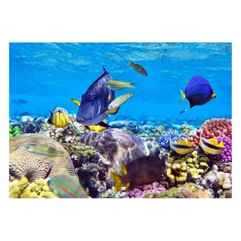 Fototapet Acvatic - BL-75, 70 x 100 cm Fototapet Acvatic - BL-75, 70 x 100 cm