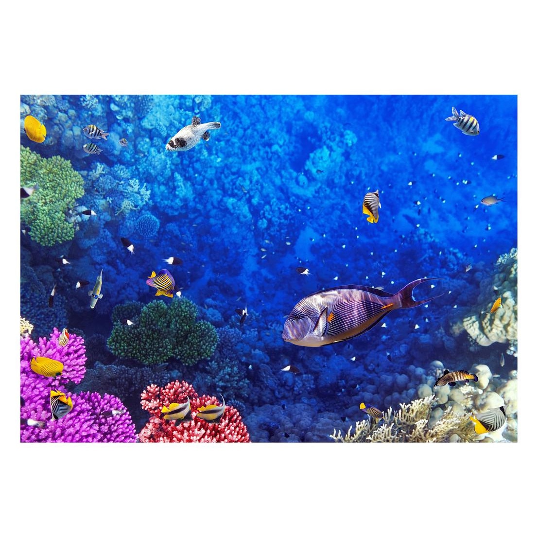 Fototapet Acvatic - BL-29, 70 x 100 cm