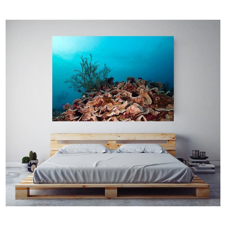 Fototapet Acvatic - BL-43, 70 x 100 cm