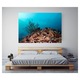 Fototapet Acvatic - BL-43, 70 x 100 cm