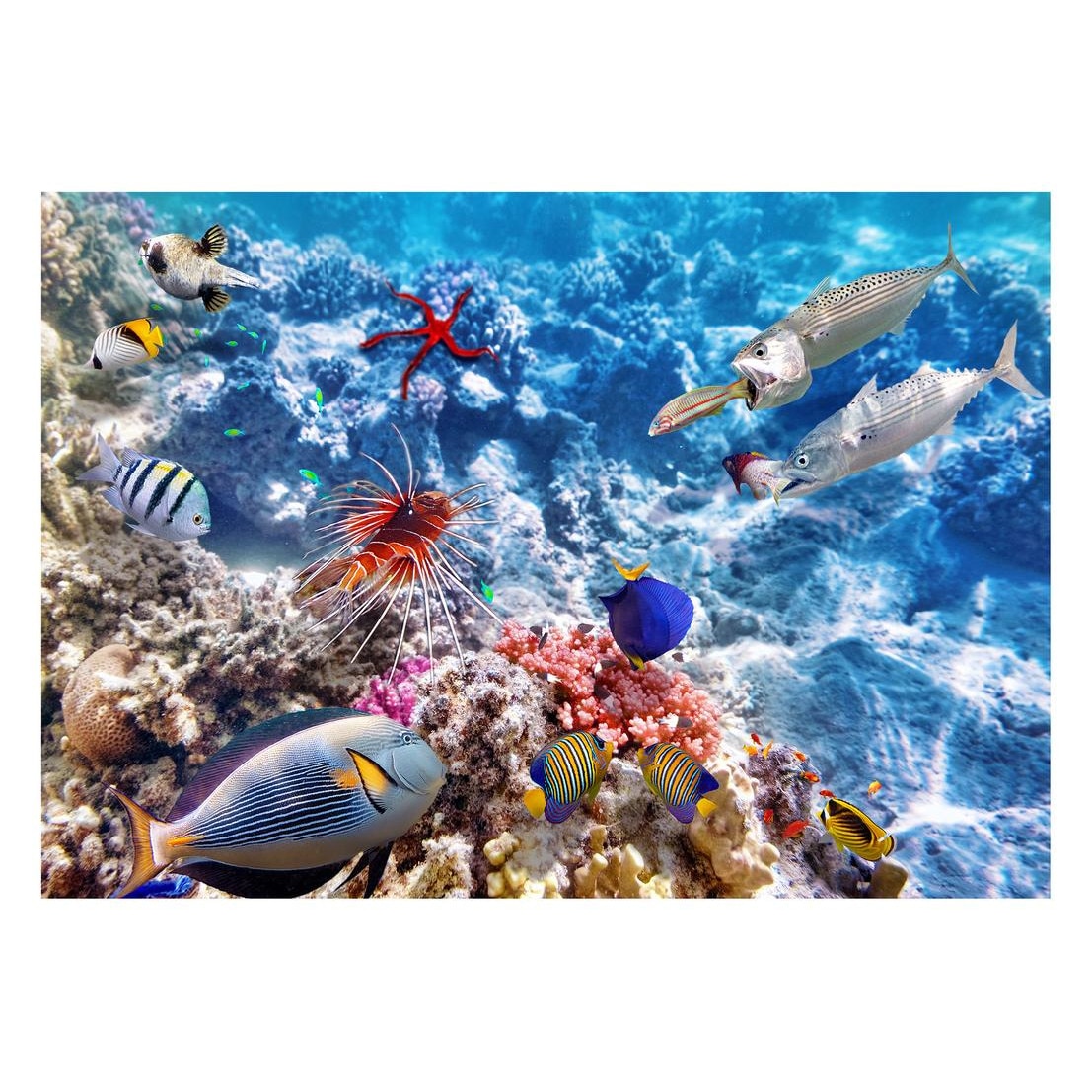 Fototapet Acvatic - BL-06, 70 x 100 cm