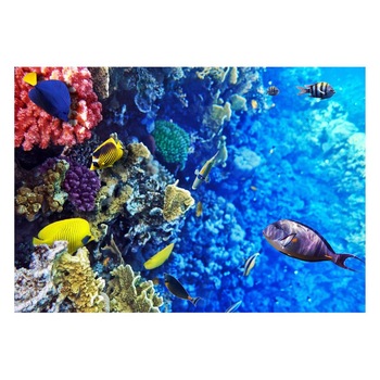 Fototapet Acvatic - BL-56, 70 x 100 cm Fototapet Acvatic - BL-56, 70 x 100 cm