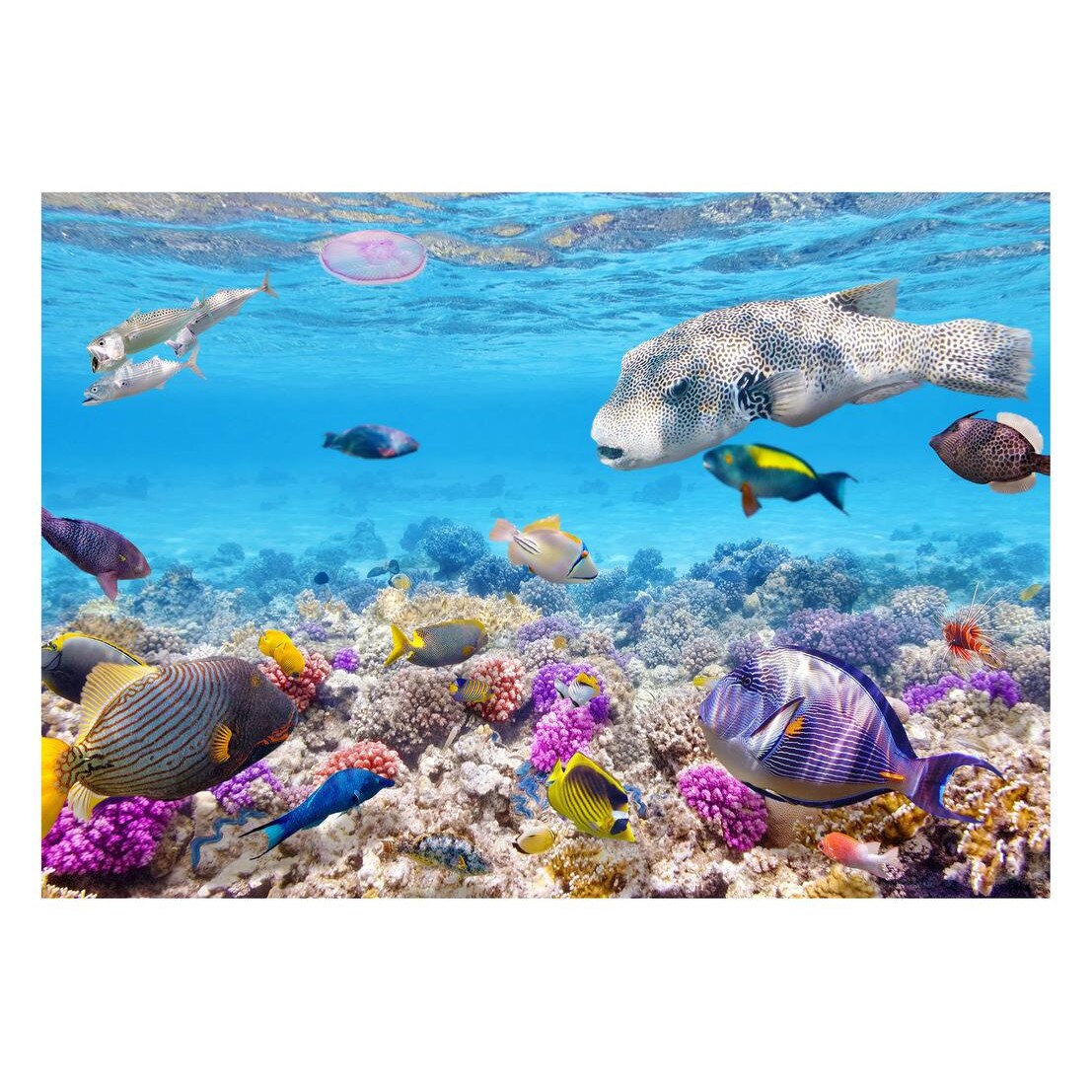 Fototapet Acvatic - BL-05, 70 x 100 cm