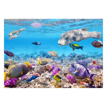 Fototapet Acvatic - BL-05, 70 x 100 cm Fototapet Acvatic - BL-05, 70 x 100 cm