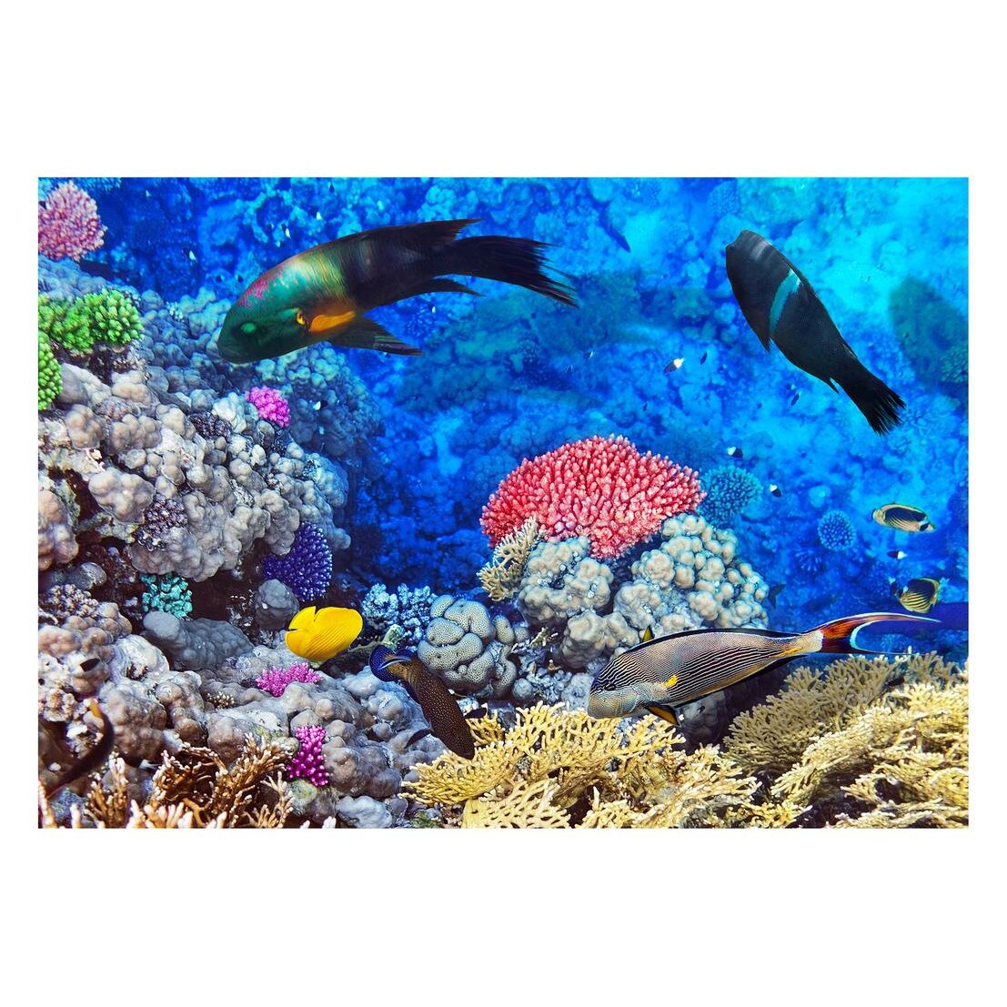 Fototapet Acvatic - BL-63, 70 x 100 cm