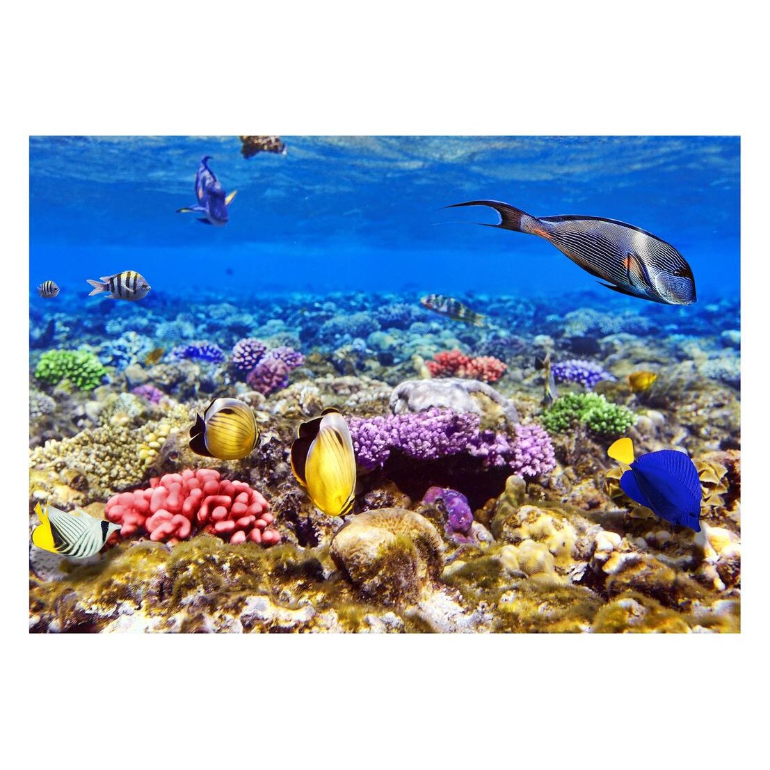 Fototapet Acvatic - BL-73, 70 x 100 cm