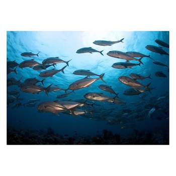 Fototapet Acvatic - BL-38, 70 x 100 cm Fototapet Acvatic - BL-38, 70 x 100 cm