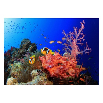 Fototapet Acvatic - BL-50, 70 x 100 cm Fototapet Acvatic - BL-50, 70 x 100 cm