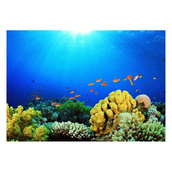 Fototapet Acvatic - BL-18, 70 x 100 cm Fototapet Acvatic - BL-18, 70 x 100 cm