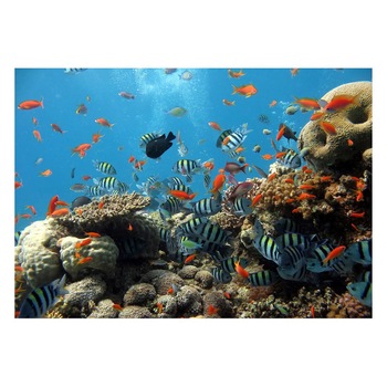 Fototapet Acvatic - BL-11, 70 x 100 cm Fototapet Acvatic - BL-11, 70 x 100 cm