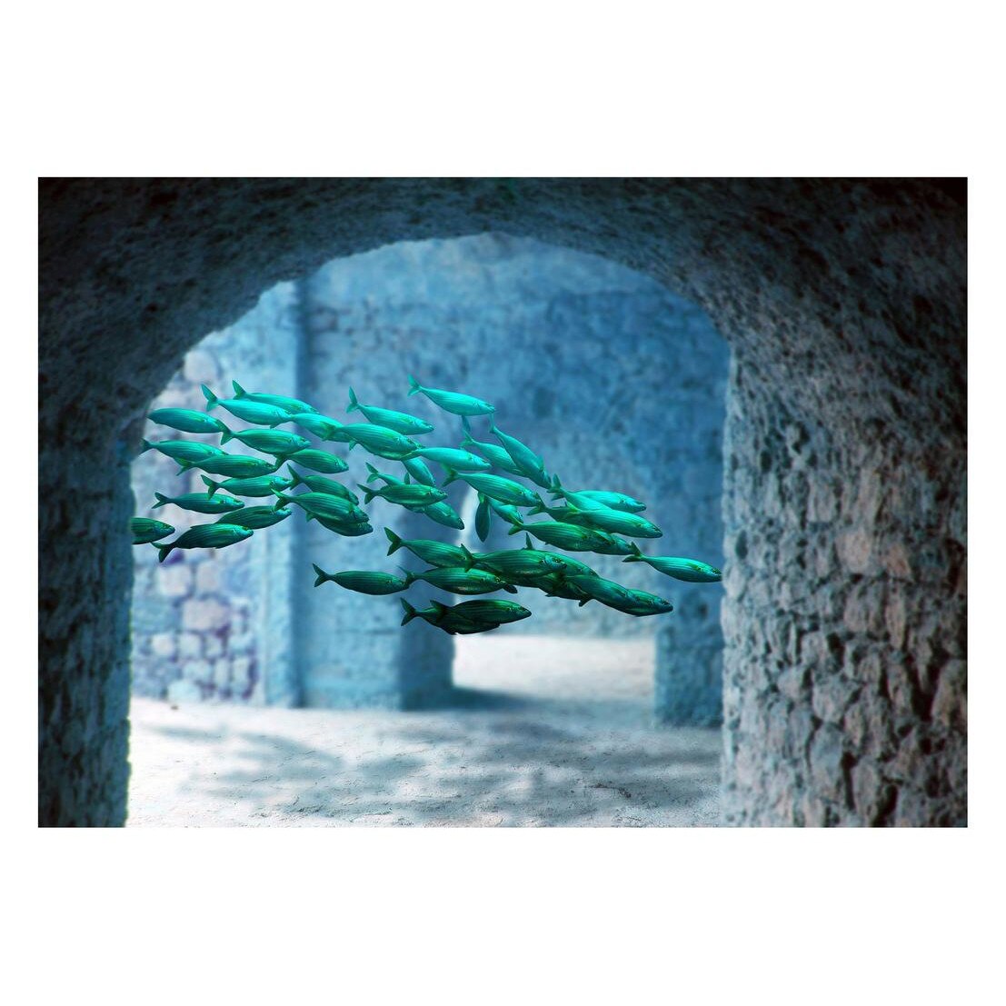 Fototapet Acvatic - BL-30, 70 x 100 cm