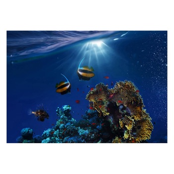 Fototapet Acvatic - BL-04, 70 x 100 cm Fototapet Acvatic - BL-04, 70 x 100 cm