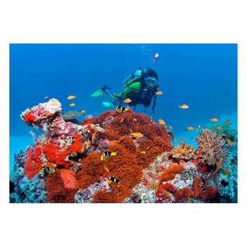 Fototapet Acvatic - BL-36, 70 x 100 cm Fototapet Acvatic - BL-36, 70 x 100 cm