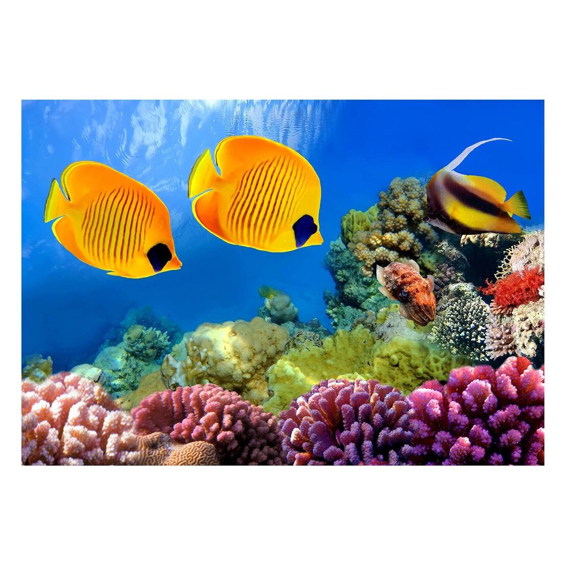 Fototapet Acvatic - BL-22, 70 x 100 cm