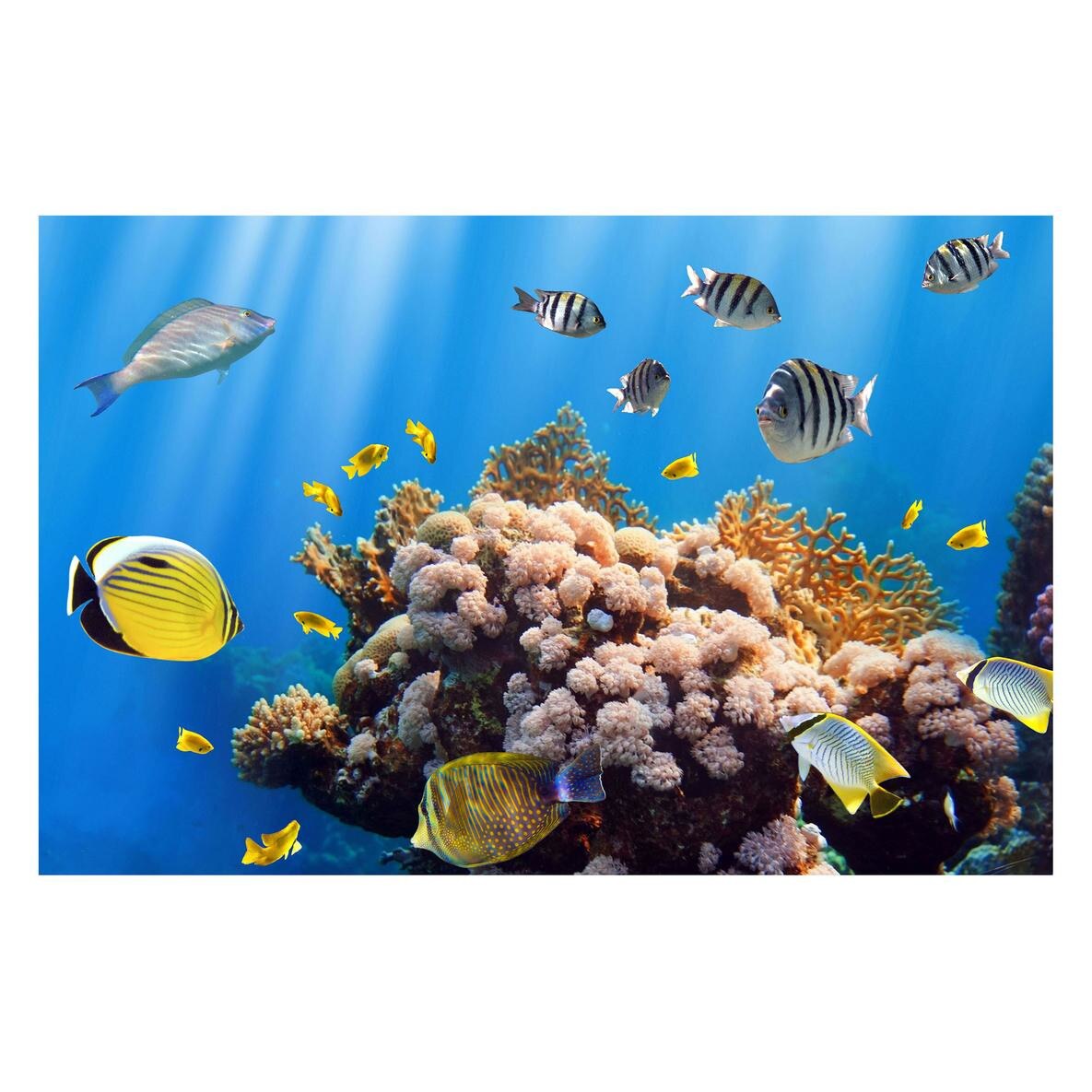 Fototapet Acvatic - BL-64, 70 x 100 cm