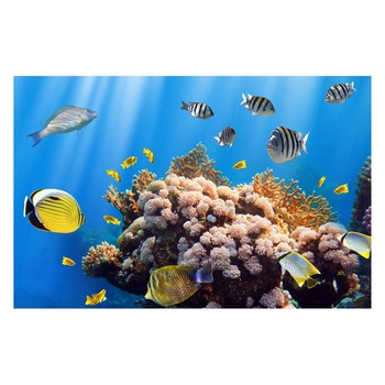 Fototapet Acvatic - BL-64, 70 x 100 cm Fototapet Acvatic - BL-64, 70 x 100 cm