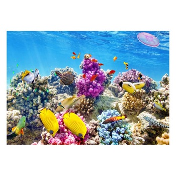 Fototapet Acvatic - BL-01, 70 x 100 cm Fototapet Acvatic - BL-01, 70 x 100 cm