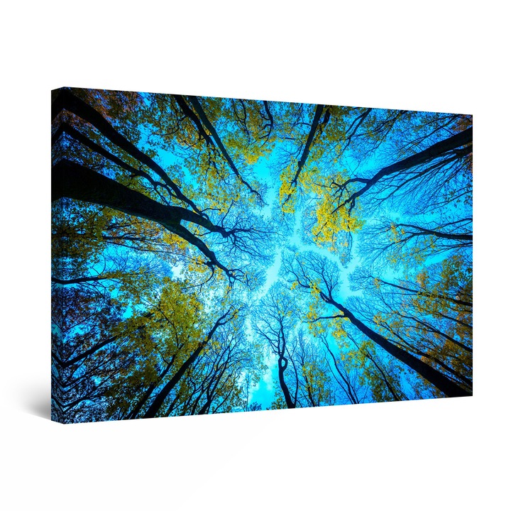 DualView Startonight Над дърветата, светеща в тъмното картина, 90 cm x 60 cm