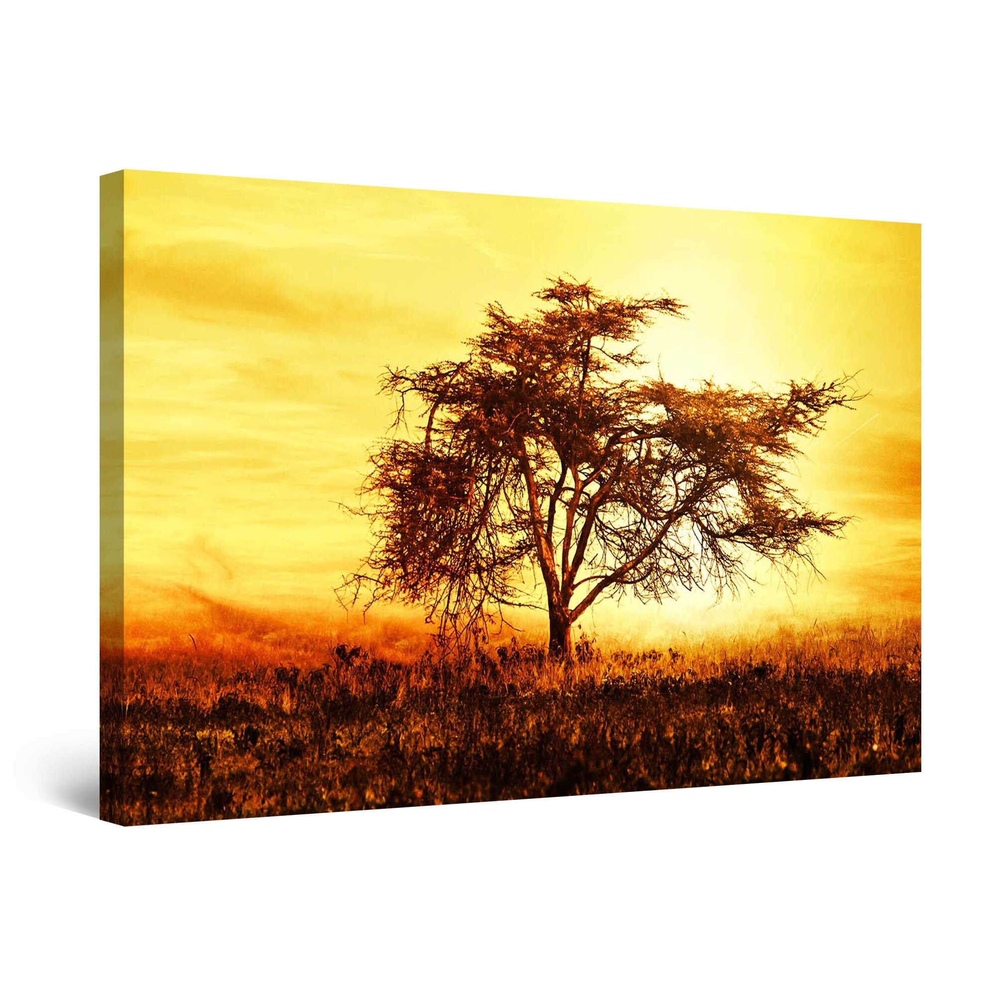 Tablou DualView Startonight Copac la Apus, luminos in intuneric, 90 cm x 60 cm