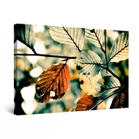 tablou dualview startonight frunze de fag luminos in intuneric 80 cm x 120 cm imagen 32_0_
0