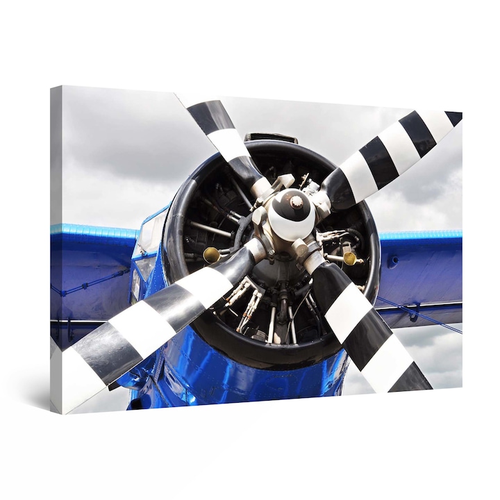 Картина Startonight DualView Black and White Propeller Blue Plain, светлина в тъмнотo, 30 cm x 20 cm