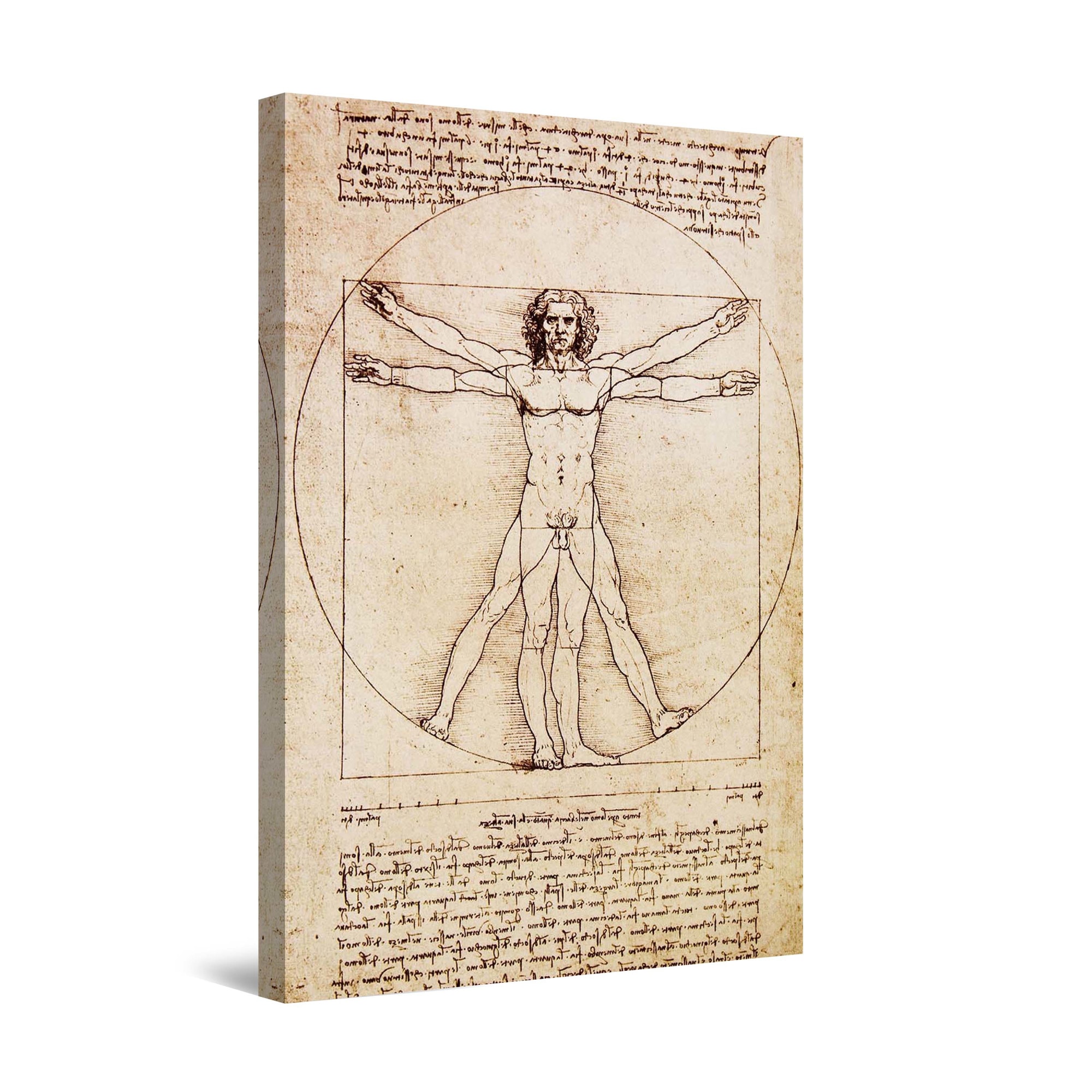 Tablou DualView Startonight Manuscrisul lui Da Vinci, luminos in intuneric, 90 cm x 60 cm