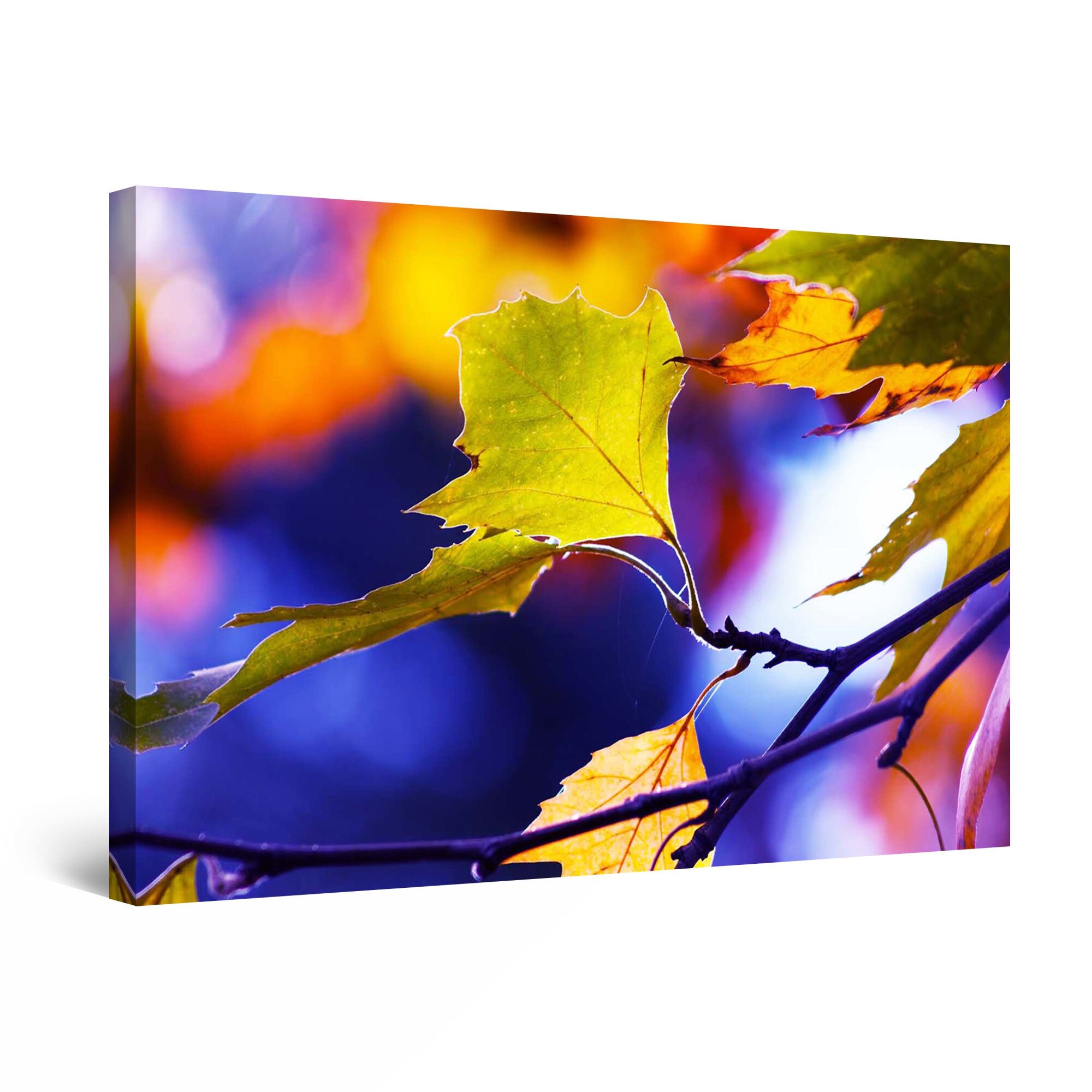 Tablou DualView Startonight Frunze de stejar, luminos in intuneric, 90 cm x 60 cm