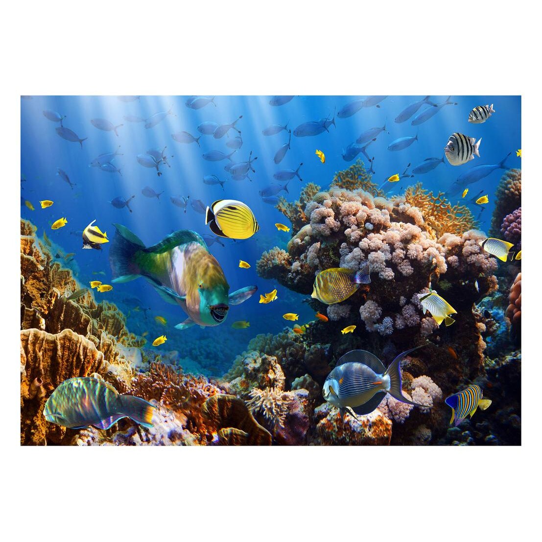 Fototapet Acvatic - BL-54, 70 x 100 cm