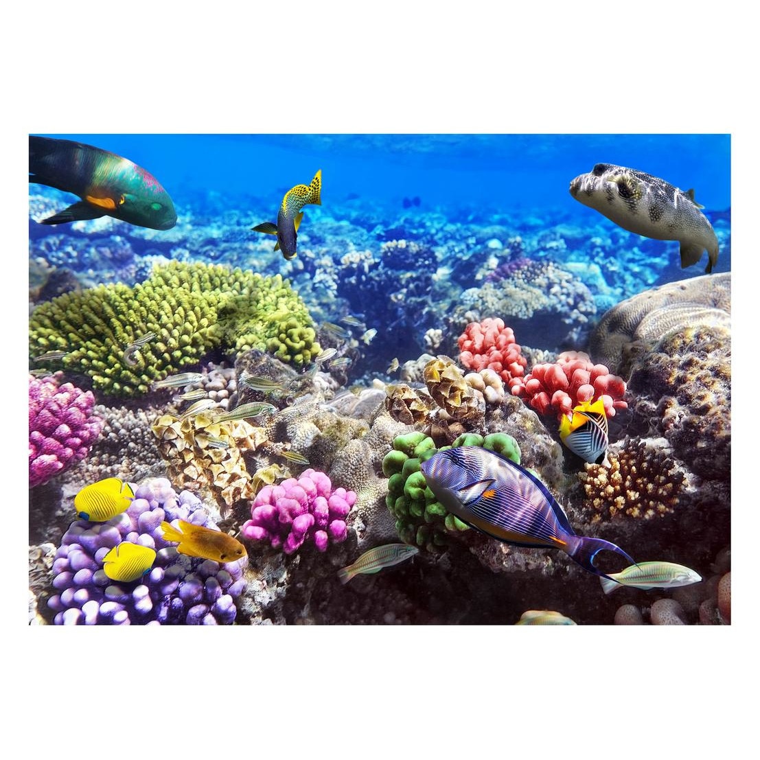 Fototapet Acvatic - BL-61, 70 x 100 cm