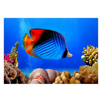 Fototapet Acvatic - BL-47, 70 x 100 cm Fototapet Acvatic - BL-47, 70 x 100 cm