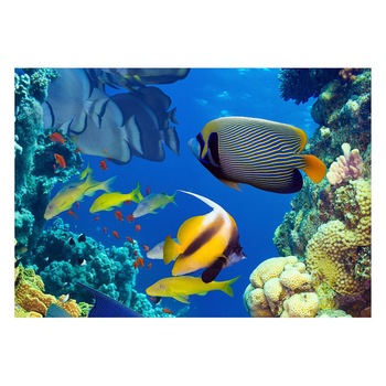 Fototapet Acvatic - BL-24, 70 x 100 cm Fototapet Acvatic - BL-24, 70 x 100 cm