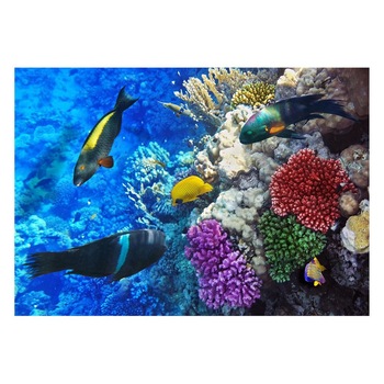 Fototapet Acvatic - BL-57, 70 x 100 cm Fototapet Acvatic - BL-57, 70 x 100 cm