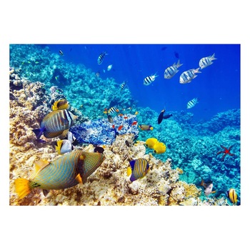 Fototapet Acvatic - BL-13, 70 x 100 cm Fototapet Acvatic - BL-13, 70 x 100 cm