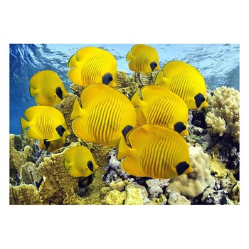 Fototapet Acvatic - BL-19, 70 x 100 cm Fototapet Acvatic - BL-19, 70 x 100 cm